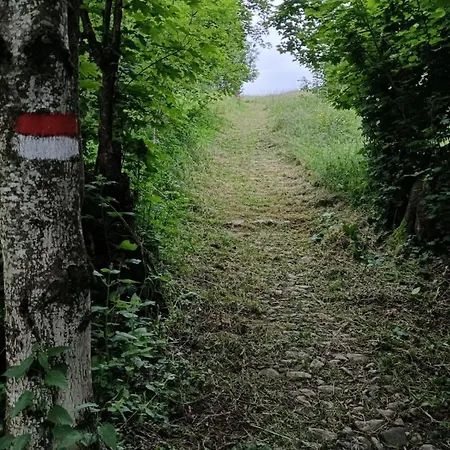 La Scaletta San Colombano